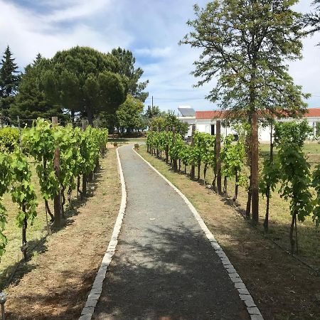 Horta Da Rosa - Adults Only Bed & Breakfast Alvito  Exterior photo